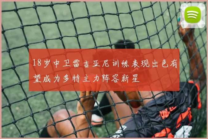 18岁中卫雷吉亚尼训练表现出色有望成为多特主力阵容新星