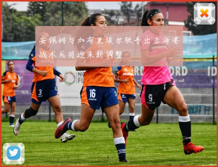 安佩姆与加布里埃尔联手出击海港战术或将迎来新调整