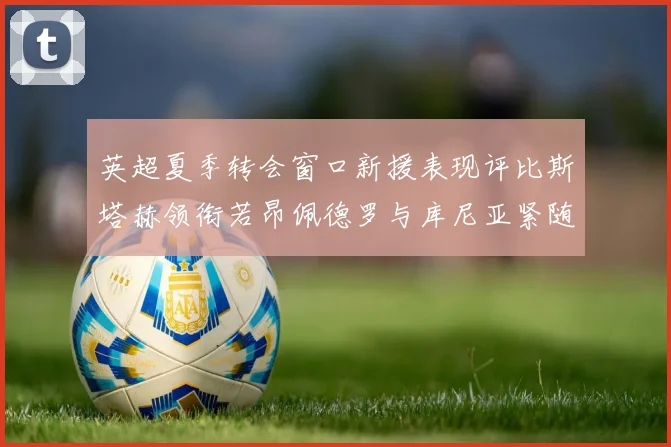 英超夏季转会窗口新援表现评比斯塔赫领衔若昂佩德罗与库尼亚紧随其后