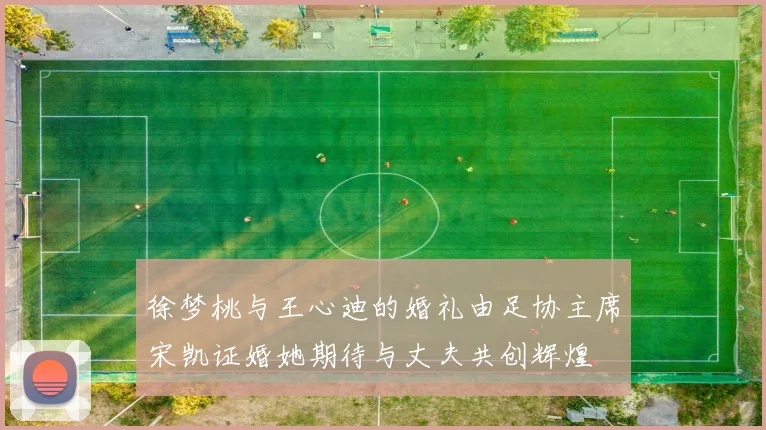 徐梦桃与王心迪的婚礼由足协主席宋凯证婚她期待与丈夫共创辉煌