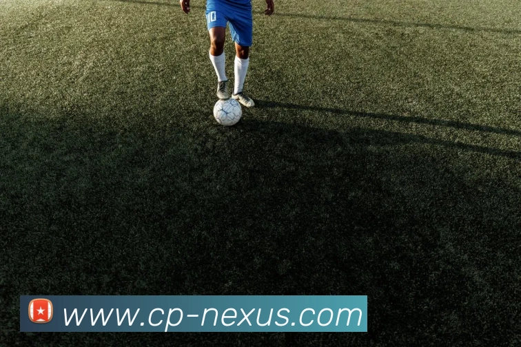 地下彩票平台APP 高清赛事图