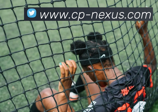 数据防护可视化